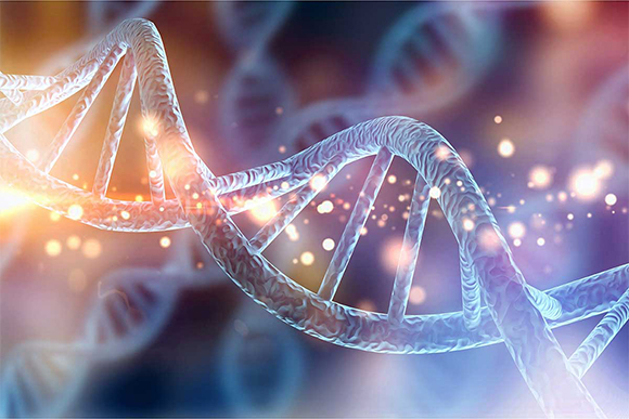اجرای طرح مشاوره ژنتیک برای خانواده‌های دارای دو معلول